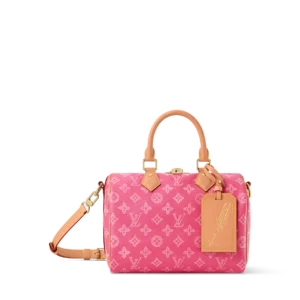 Read more about the article ALMA BB Handbag